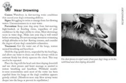 Adventure Medical Kits Canine Field Medicine Book 4000-1520 -Outdoor Life Store adventure medical kits canine field medicine book 4000 1520 4000 1520 89508.1635811135