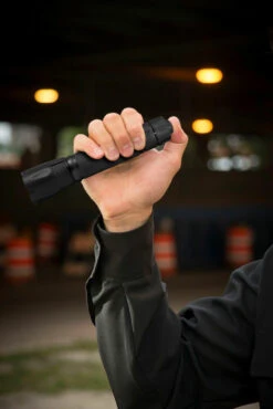 ASP Products 35674Raptor DF Flashlight 14 ASP Products 35674Raptor DF Flashlight -Outdoor Life Store asp products 35674 raptor df flashlight raptordf 62372.1621989374