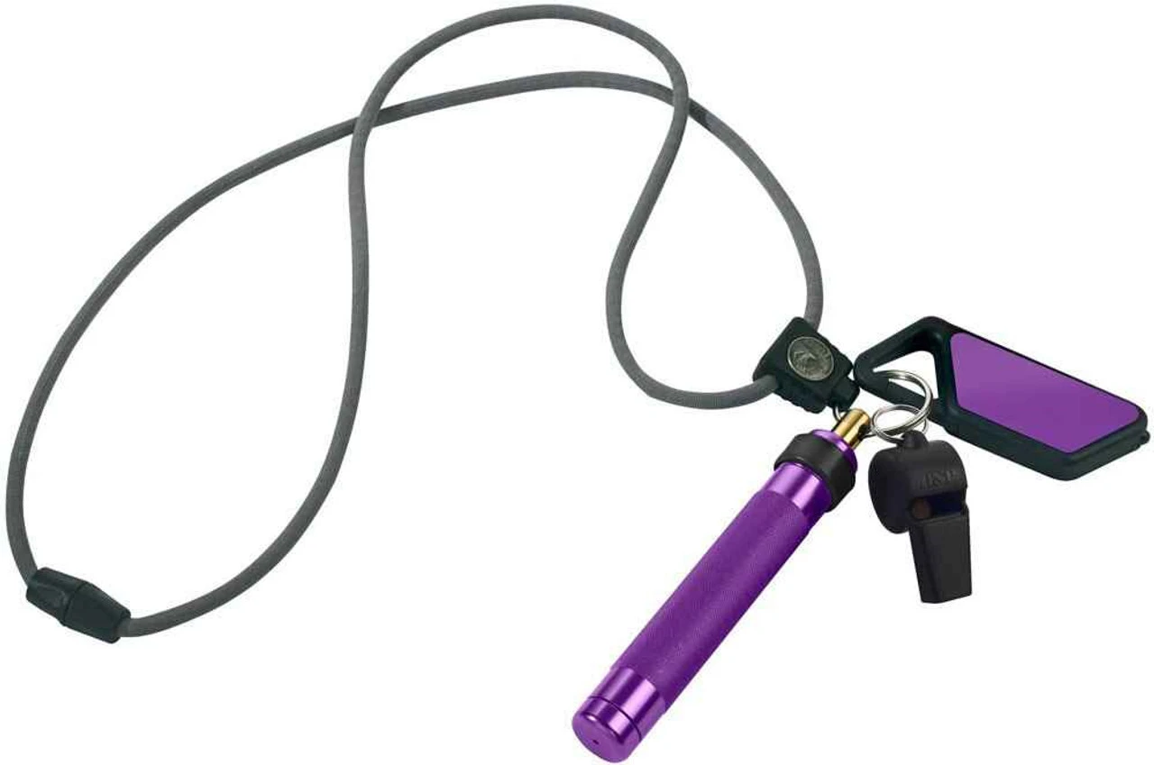 ASP Safety System Lanyard SAFETY-SYSTEM 3 ASP Safety System Lanyard SAFETY-SYSTEM