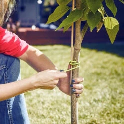 Nite Ize Gear Tie ProPack 12 In. - 12 Pack 12 Nite Ize Gear Tie ProPack 12 In. - 12 Pack -Outdoor Life Store nite ize 12 gear tie reusable rubber twist tie propack 12 pack gtpp12 19196.1606863408