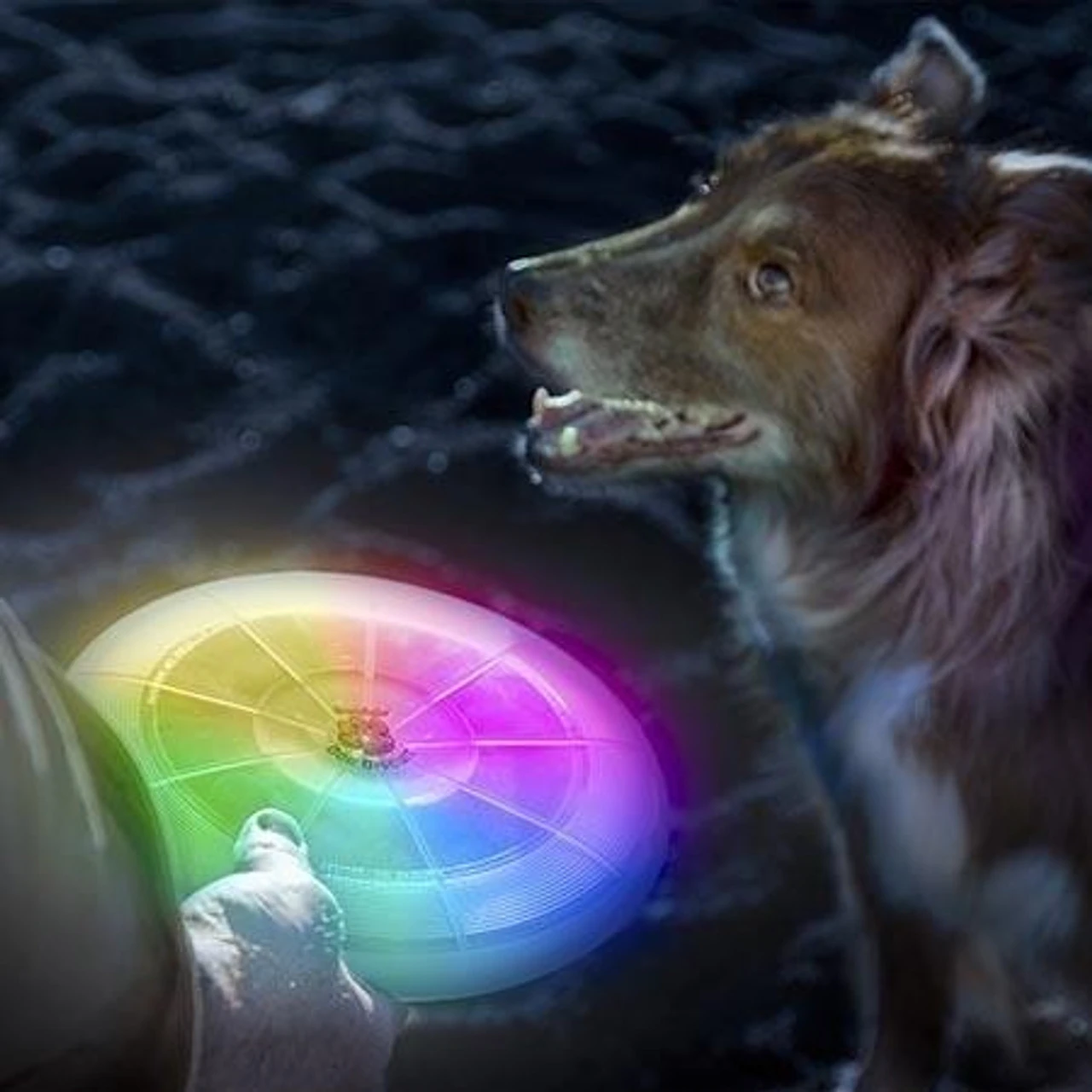 Nite Ize Flashflight Dog Discuit LED Flying Disc - Disc-O 3 Nite Ize Flashflight Dog Discuit LED Flying Disc - Disc-O