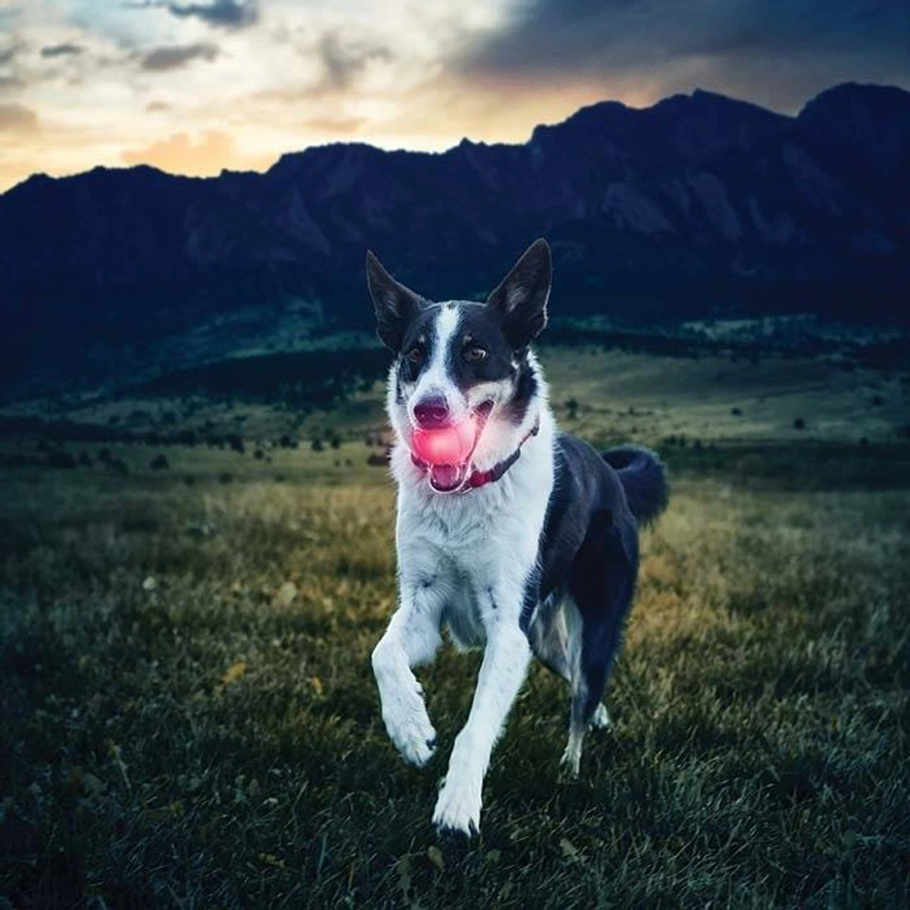 Nite Ize GlowStreak LED Ball Red 6 Nite Ize GlowStreak LED Ball Red - Image 4