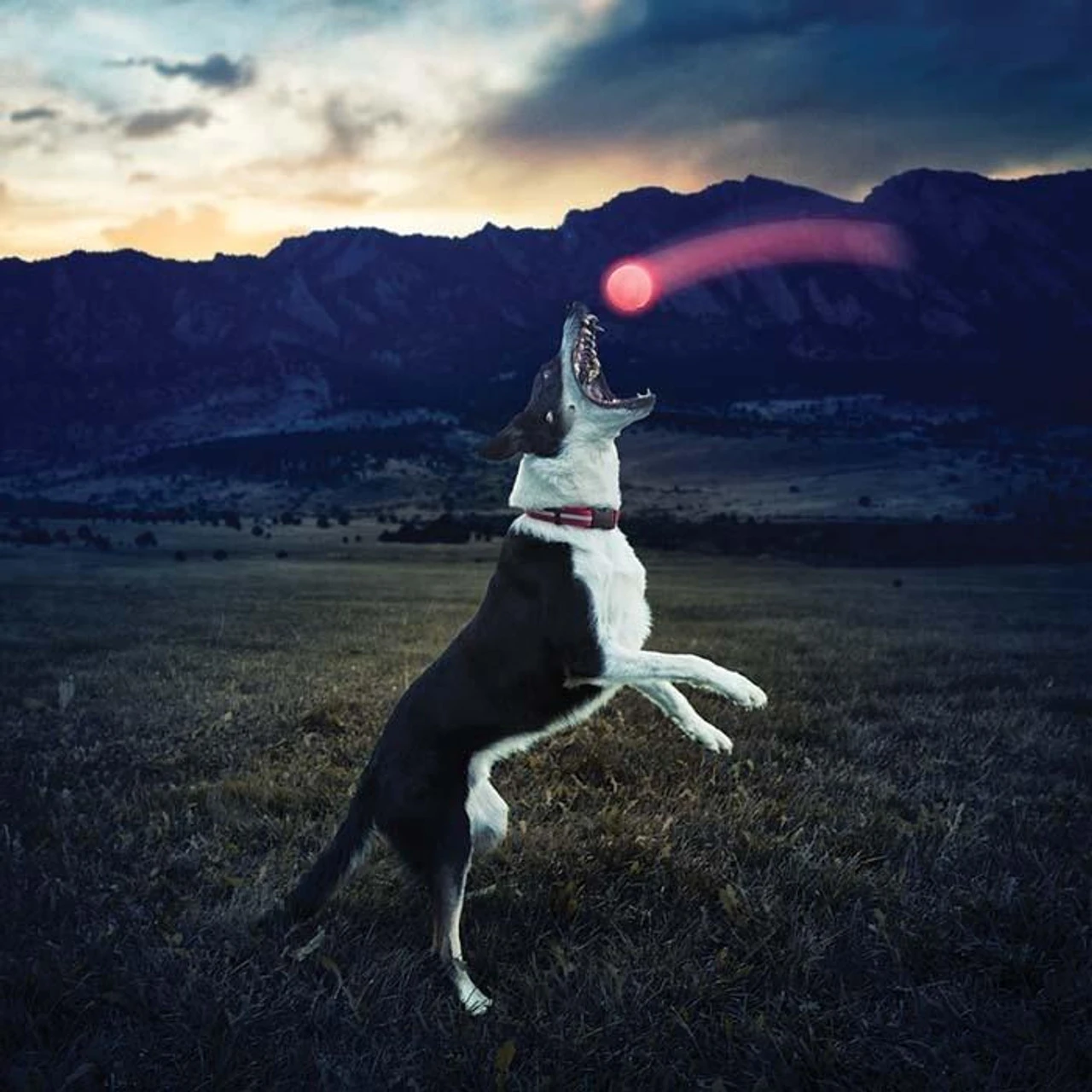 Nite Ize GlowStreak LED Ball Red 7 Nite Ize GlowStreak LED Ball Red - Image 5