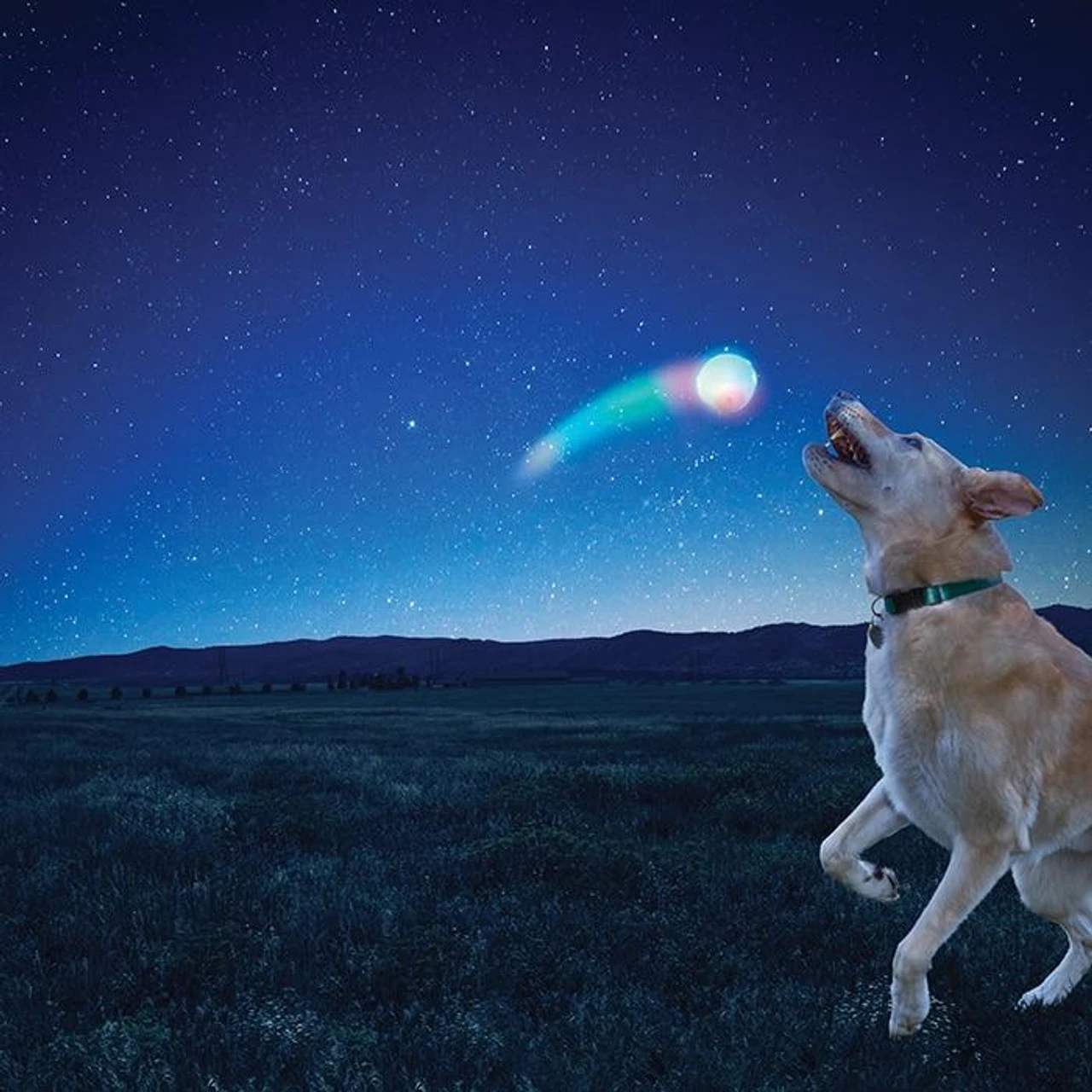 Nite Ize Huck 'N Tuck Glowstreak Collapsible Thrower + LED Ball 5 Nite Ize Huck 'N Tuck Glowstreak Collapsible Thrower + LED Ball - Image 3