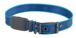 Nite Ize NiteDog Rechargeable LED Collar -Outdoor Life Store nite ize nitedog rechargeable led collar ndcr 46592.1616660134