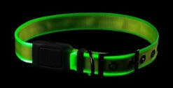 Nite Ize NiteDog Rechargeable LED Collar -Outdoor Life Store nite ize nitedog rechargeable led collar ndcr 46718.1616660237