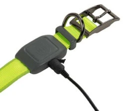 Nite Ize NiteDog Rechargeable LED Collar -Outdoor Life Store nite ize nitedog rechargeable led collar ndcr 69492.1616660196