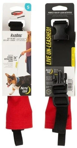 Nite Ize RadDog All-In-One Collar + Leash -Outdoor Life Store nite ize raddog all in one collar leash rrl 63214.1608161992