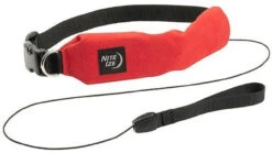 Nite Ize RadDog All-In-One Collar + Leash -Outdoor Life Store nite ize raddog all in one collar leash rrl 74298.1608162148