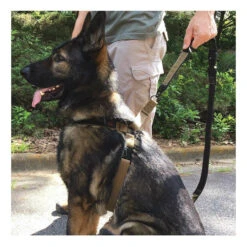 Red Rock Outdoor Gear Dog Harness -Outdoor Life Store red rock outdoor gear dog harness 38 30 rr 02589.1606552644