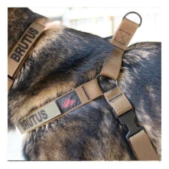 Red Rock Outdoor Gear Dog Harness -Outdoor Life Store red rock outdoor gear dog harness 38 30 rr 25530.1606552672