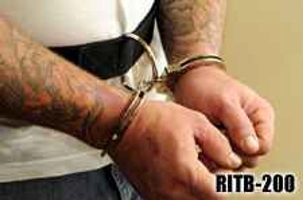 RIPP Restraints 2" D Ring Transport Belt 4 RIPP Restraints 2" D Ring Transport Belt - Image 2