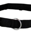 RIPP Restraints Treatment Belt -Outdoor Life Store ripp restraints treatment belt ritb 72530.1601504324