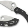 Spyderco Dragonfly 2 Wharncliffe Folding Knife -Outdoor Life Store spyderco dragonfly 2 wharncliffe folding knife c28fpwcbk2 04884.1619823402