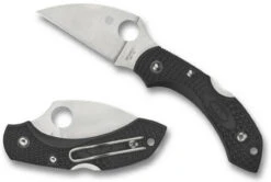 Spyderco Dragonfly 2 Wharncliffe Folding Knife