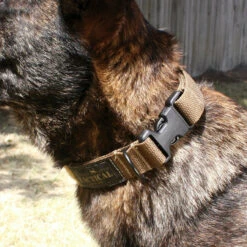 United States Tactical Cobra Buckle K9 Collar 11 United States Tactical Cobra Buckle K9 Collar -Outdoor Life Store united states tactical cobra buckle k9 collar ust k9c0010 cb 03529.1648217831