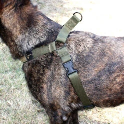 United States Tactical K9 Harness -Outdoor Life Store united states tactical k9 harness ust k9h0010 09565.1659551254