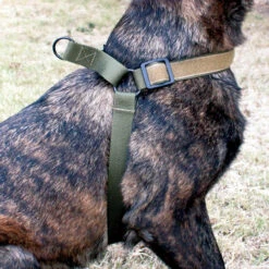United States Tactical K9 Harness -Outdoor Life Store united states tactical k9 harness ust k9h0010 14330.1659551257