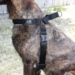 United States Tactical K9 Harness -Outdoor Life Store united states tactical k9 harness ust k9h0010 95683.1659551263