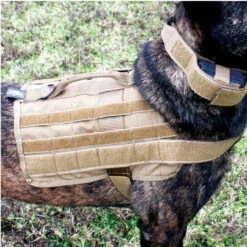 United States Tactical K9 Molle Vest -Outdoor Life Store united states tactical k9 molle vest ust k9v0010 23967.1648217832