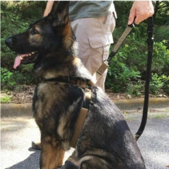 United States Tactical Quick Release And HK Hook K9 Leash -Outdoor Life Store united states tactical quick release and hk hook k9 leash ust k9l0010 02429.1648217847