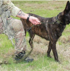 United States Tactical Quick Release And HK Hook K9 Leash -Outdoor Life Store united states tactical quick release and hk hook k9 leash ust k9l0010 06993.1648217866