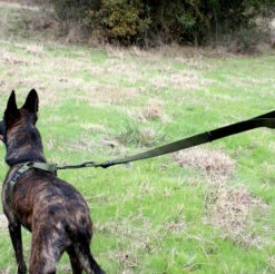 United States Tactical Quick Release And HK Hook K9 Leash -Outdoor Life Store united states tactical quick release and hk hook k9 leash ust k9l0010 65824.1648217841